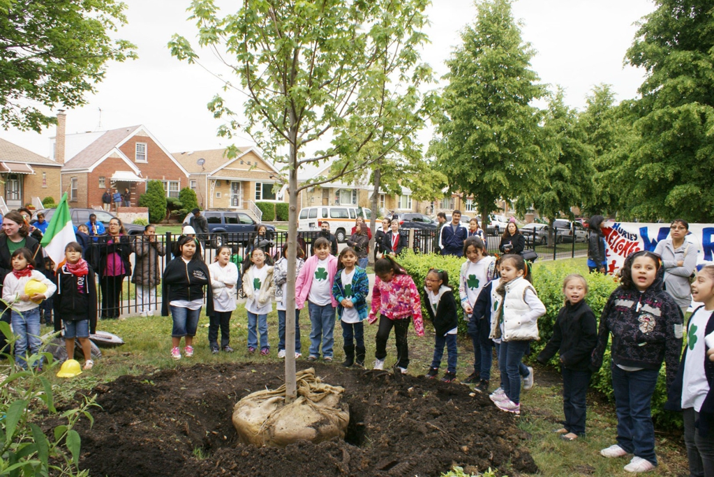 Peace Tree Planting